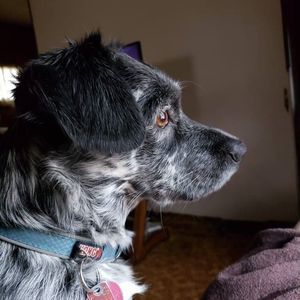 Meet your Posher, Cathy